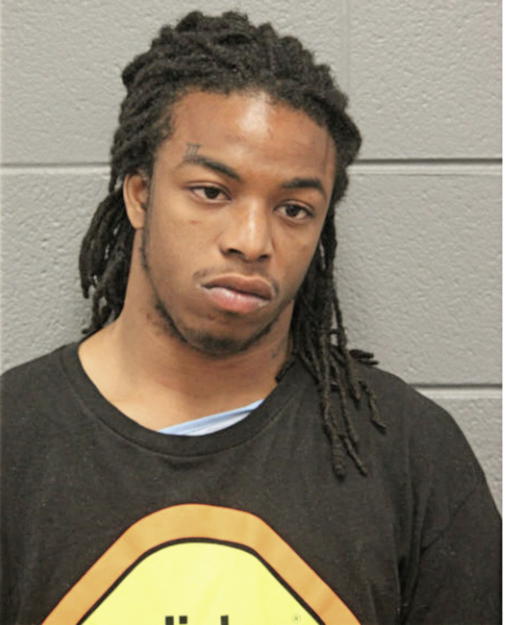 LANELLE T WHITE, Cook County, Illinois