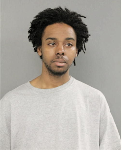 REGINALD R WILLIS, Cook County, Illinois
