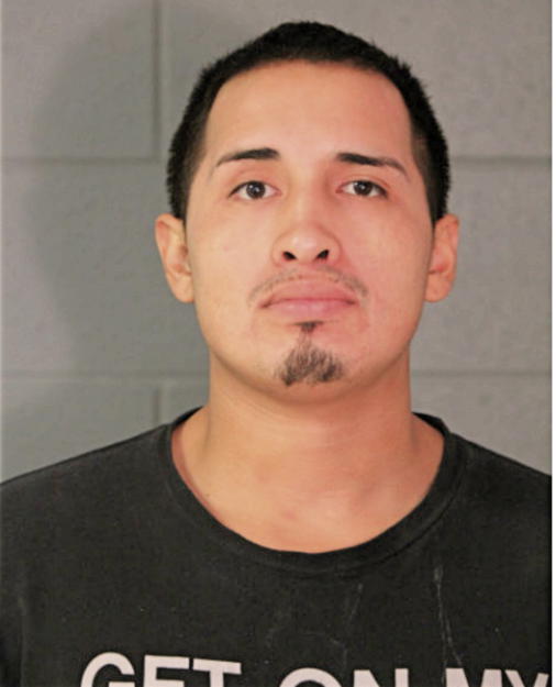 IVAN ANDRADE, Cook County, Illinois