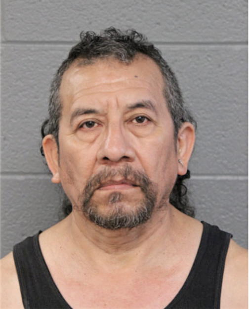 LUIS ARELLANO-CHORES, Cook County, Illinois