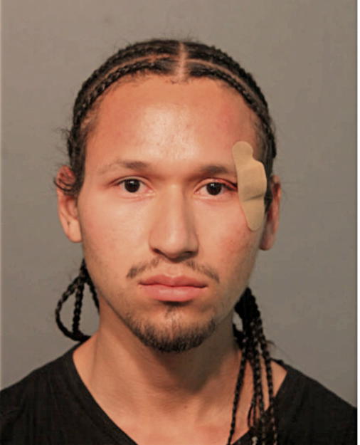 JULIO C CHAVEZ, Cook County, Illinois