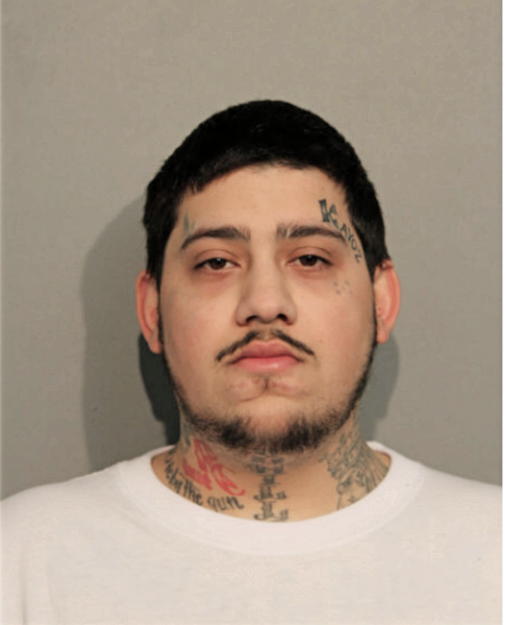 SHAWN A GHAZIANI, Cook County, Illinois