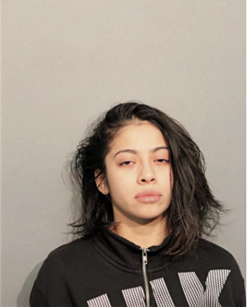 JANIXI HERNANDEZ-MEDINA, Cook County, Illinois