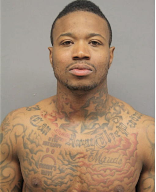 ADAM HOLLINGSWORTH, Cook County, Illinois