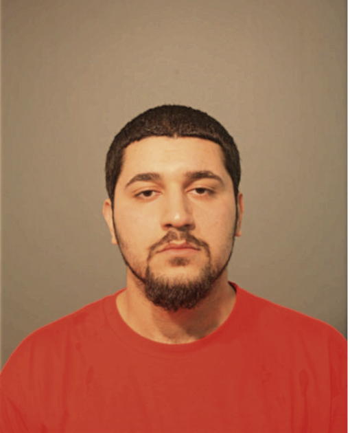 SILVAN GEORGE JAKO, Cook County, Illinois