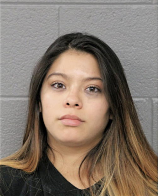 JASMINE Y MARES, Cook County, Illinois