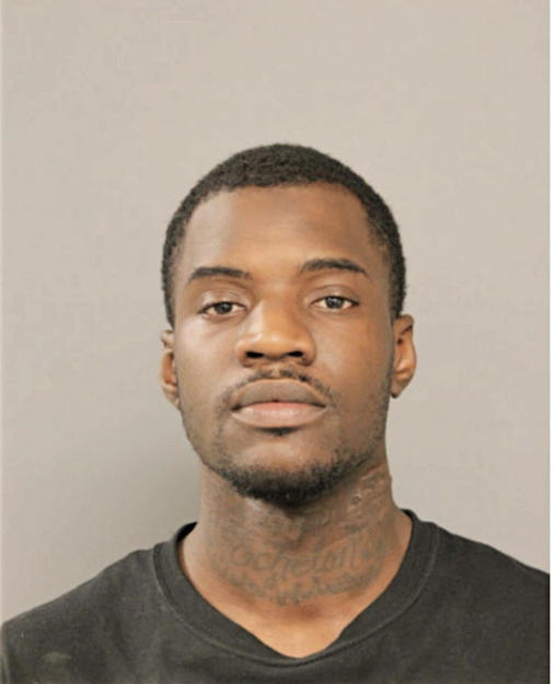 SHAWN D MONDIE, Cook County, Illinois