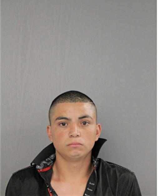 JOSE H MUNOZ-BAUTISTA, Cook County, Illinois