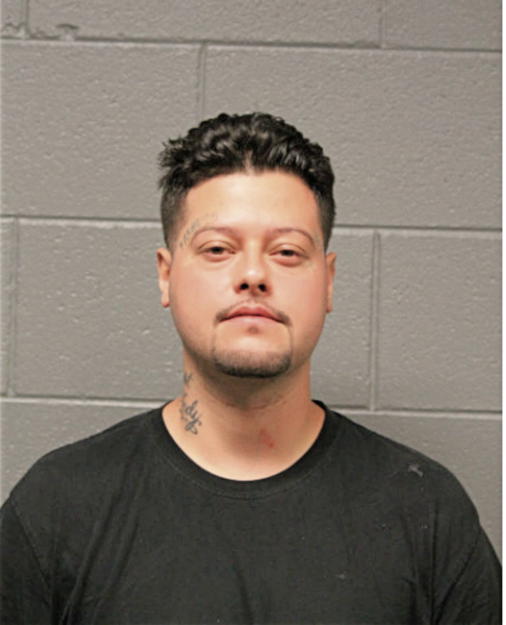ANGEL L NIEVES, Cook County, Illinois