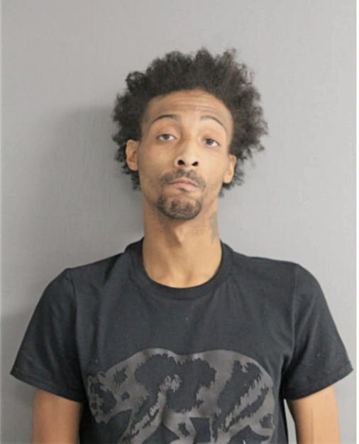 JAMES E NUNN, Cook County, Illinois