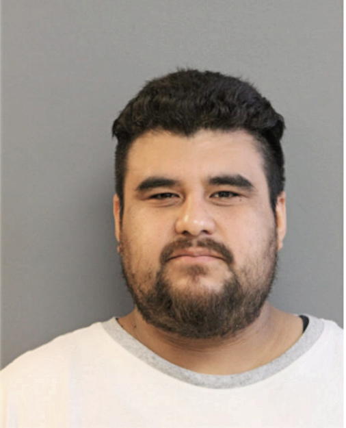 LUIS M OCON, Cook County, Illinois