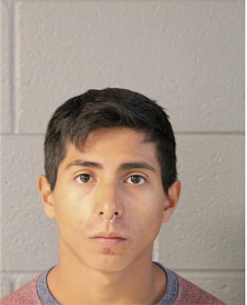 CHRISTIAN X ORTIZ, Cook County, Illinois