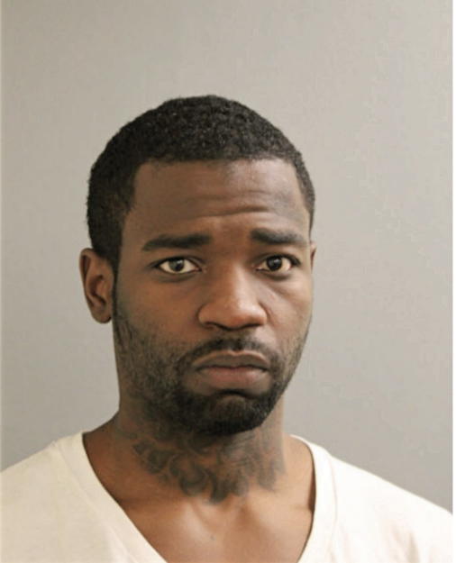 SIR PATRICK RAKIM TAYLOR, Cook County, Illinois
