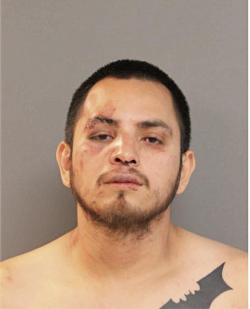 JESSE R RICO, Cook County, Illinois