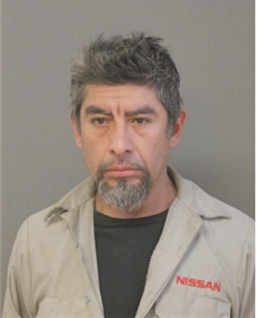 NICOLAS R ROMUALDO, Cook County, Illinois