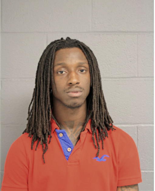 ERIC S WILLIAMS, Cook County, Illinois