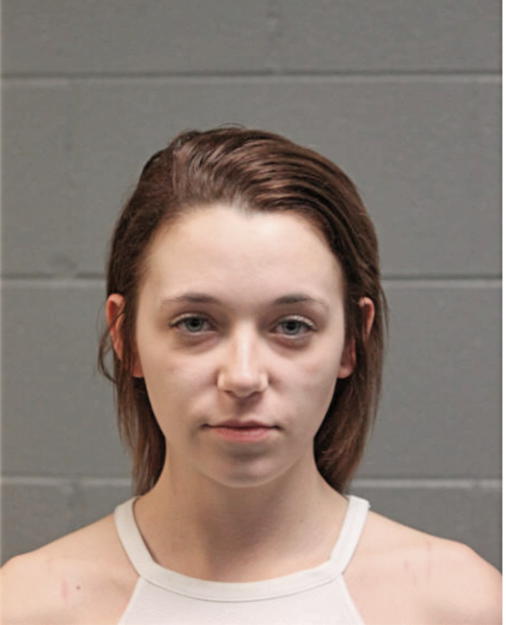 NICOLE WOJTULEWICZ, Cook County, Illinois