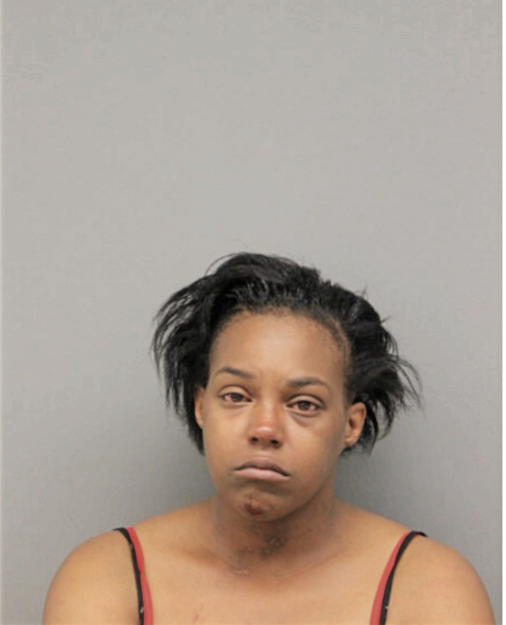 ALITA L AGEE, Cook County, Illinois