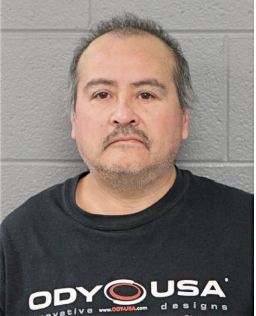 LUIS ALFARO, Cook County, Illinois