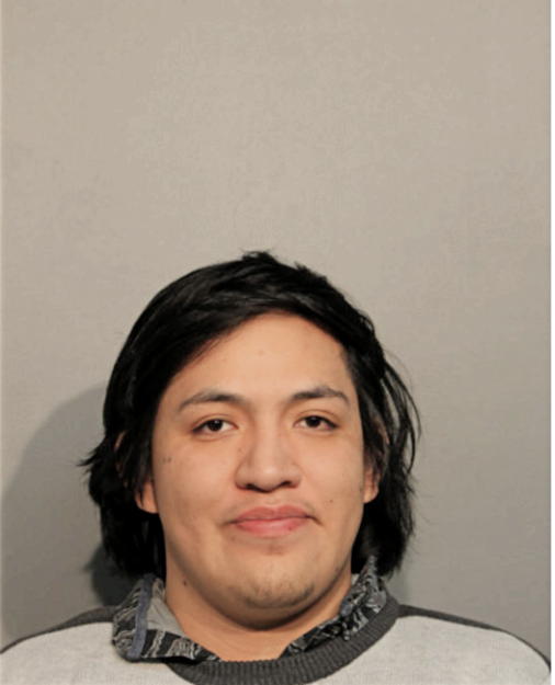 ANGEL S ALVAREZ, Cook County, Illinois