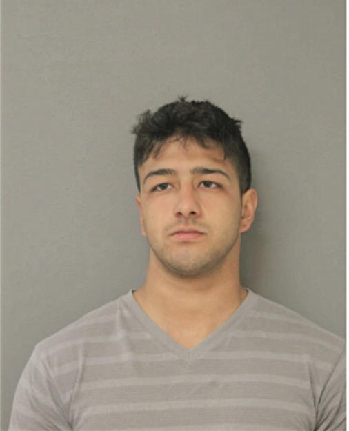RAMIRO T CAZARES, Cook County, Illinois