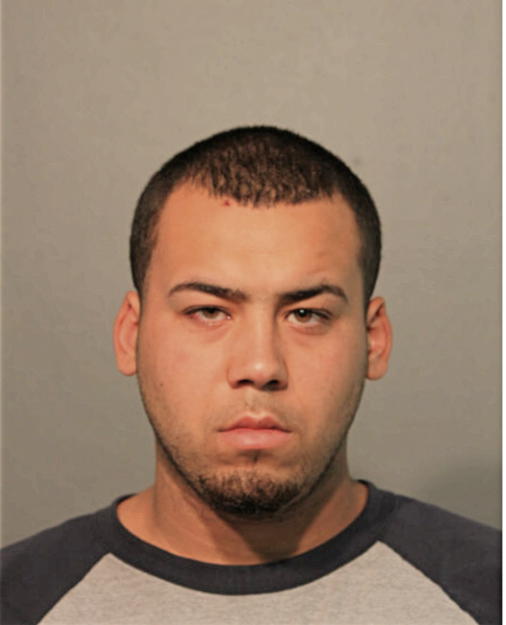 SAMUEL FLORES, Cook County, Illinois