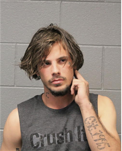 ETHAN FRANCE, Cook County, Illinois