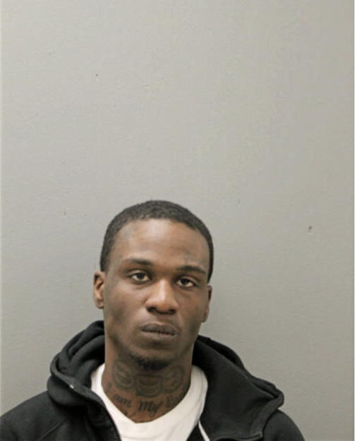 JOSHUA HUNT, Cook County, Illinois