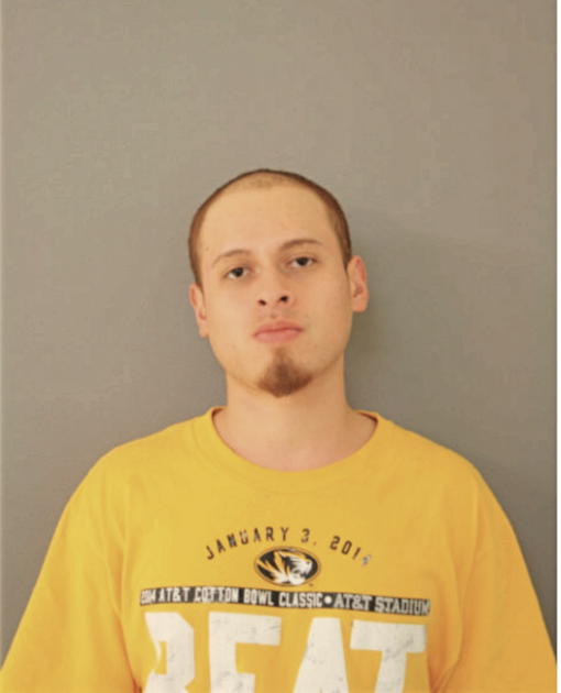 FABIAN R MAGDALENO, Cook County, Illinois