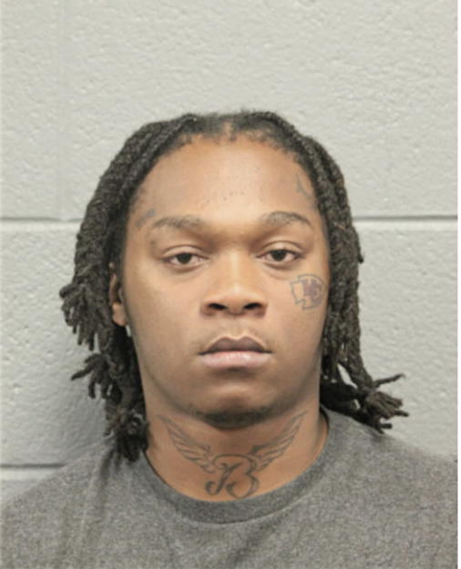 MARK A MATHEWS, Cook County, Illinois