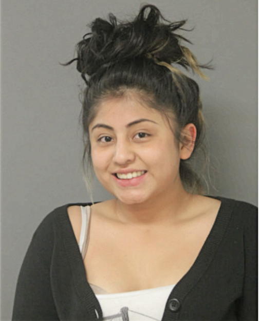 JENNIFER MONTESDEOCA, Cook County, Illinois