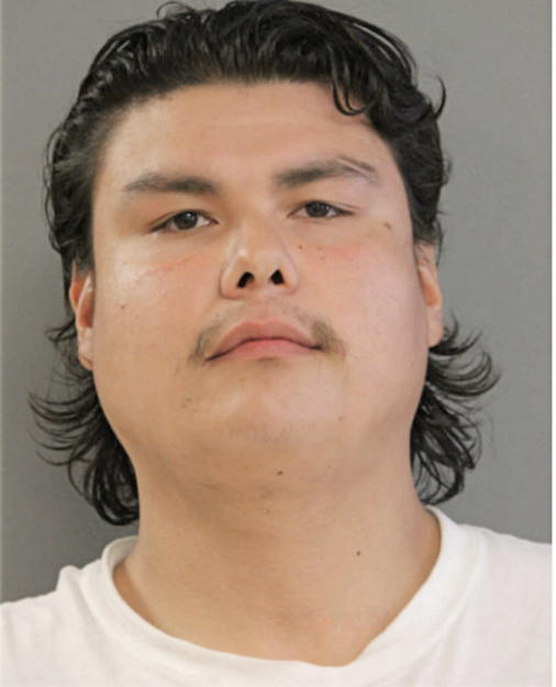 ALBERT H RODRIGUEZ, Cook County, Illinois