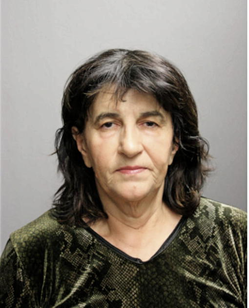ZARFIJA SABANOVIC, Cook County, Illinois