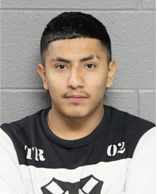 RAYMUNDO SALGADO, Cook County, Illinois