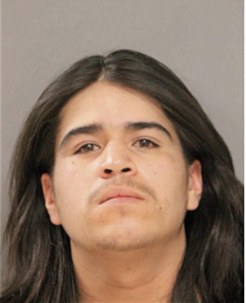 ADRIAN A SANCHEZ, Cook County, Illinois