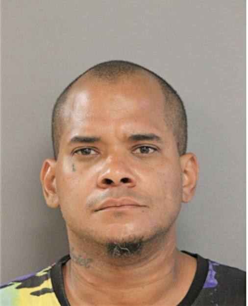 RENE P SANTIAGO, Cook County, Illinois