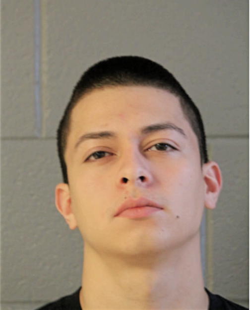 JAVIER I SILVA, Cook County, Illinois
