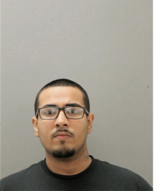 ALEXIS ZAMORA, Cook County, Illinois