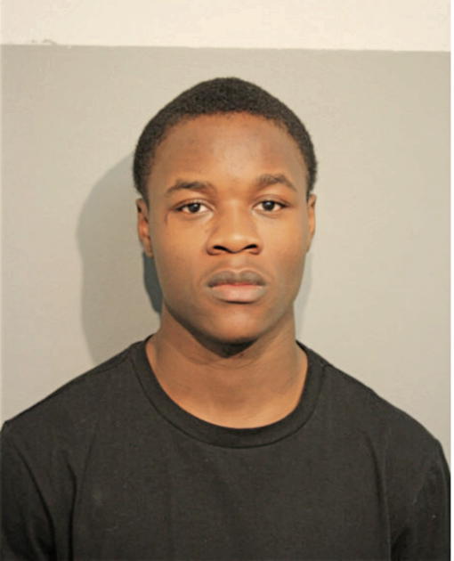 FAROOK T ANIFOWOSHE, Cook County, Illinois