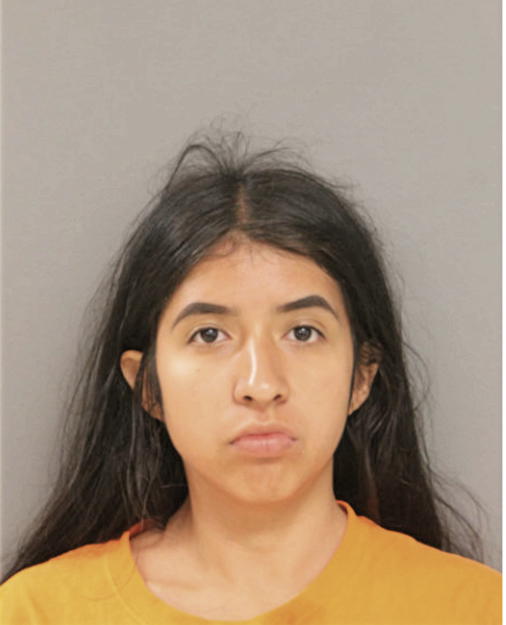 LESLIE ARREGUIN, Cook County, Illinois