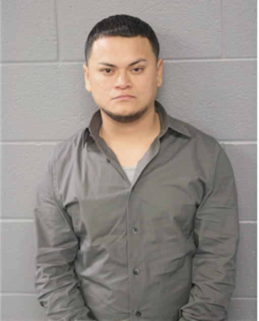 LUIS A BAHENA, Cook County, Illinois