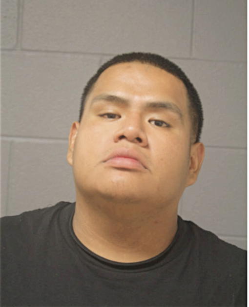 JORGE A BUENO, Cook County, Illinois