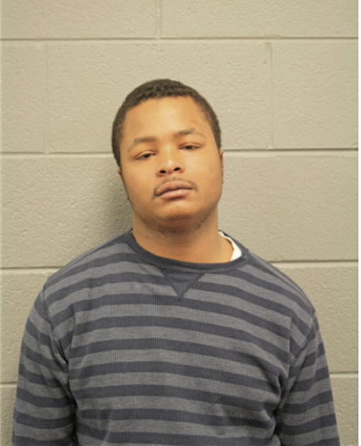 NATHANIEL J BURTON, Cook County, Illinois
