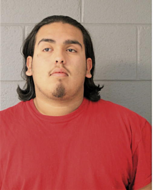 DAVID CERVANTES-VILLANUEVA, Cook County, Illinois