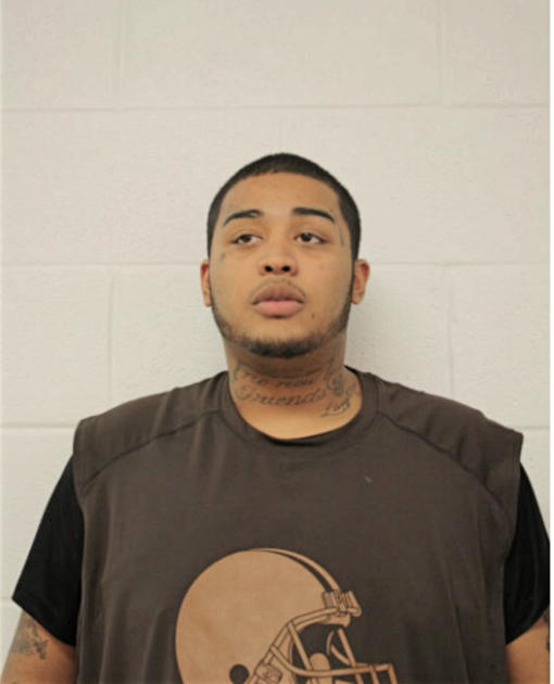 MICAHEL GARCIA, Cook County, Illinois