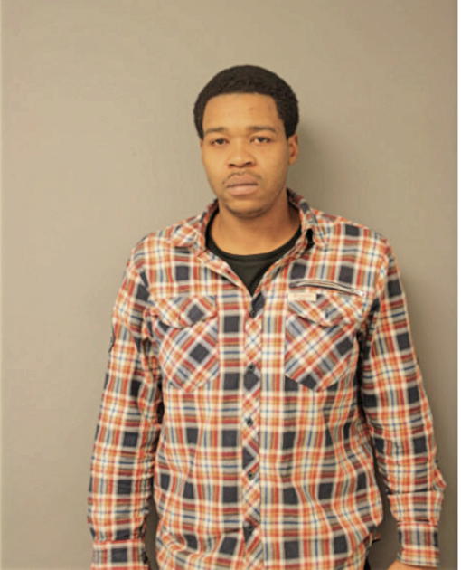LARRY L HOLMAN, Cook County, Illinois