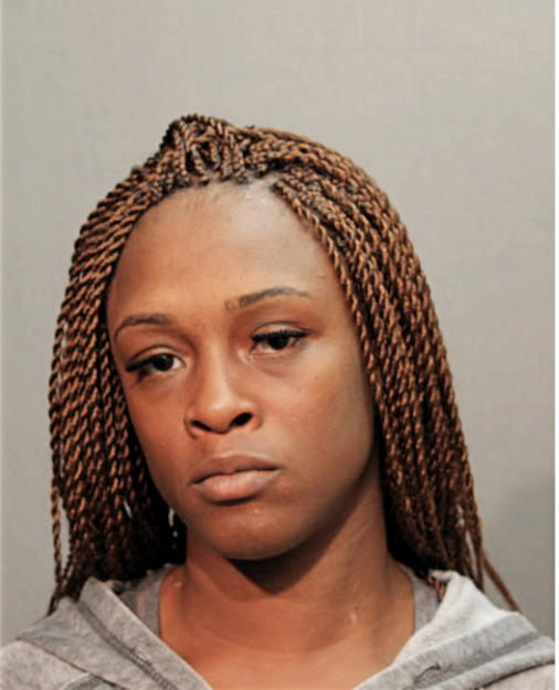 ASHLEY L HOLSTON, Cook County, Illinois