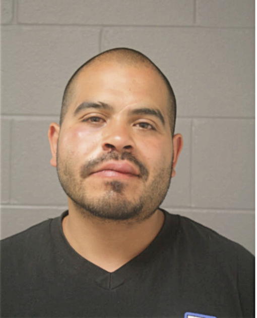 JESUS F MENDOZA, Cook County, Illinois