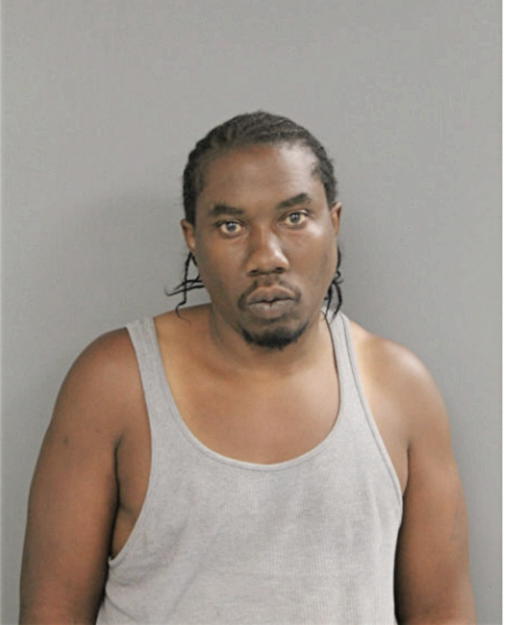 KENNETH M NEWSOME, Cook County, Illinois