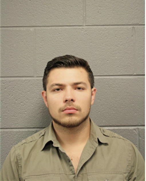 SANTIAGO D ORTEGA, Cook County, Illinois